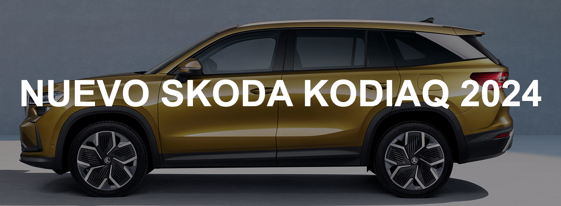 Skoda Kodiaq banner